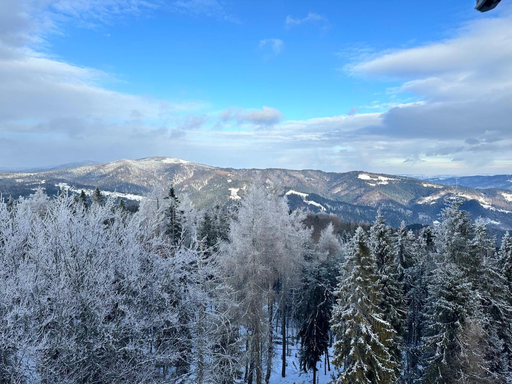 Domki Piwniczna Lodge *