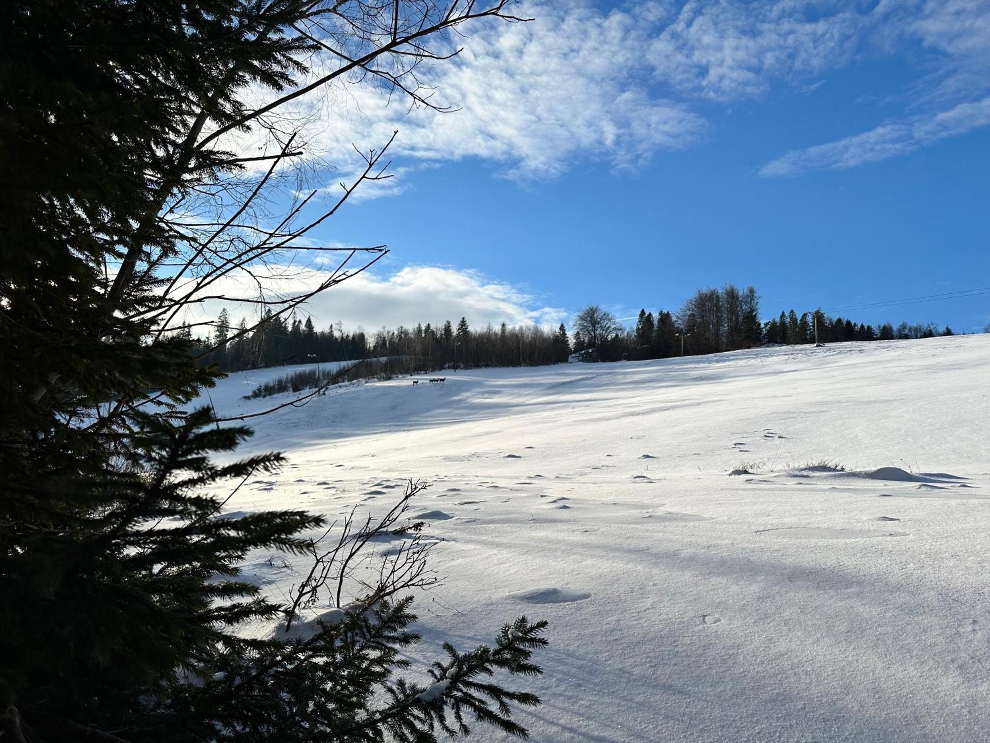 Domki Piwniczna Lodge