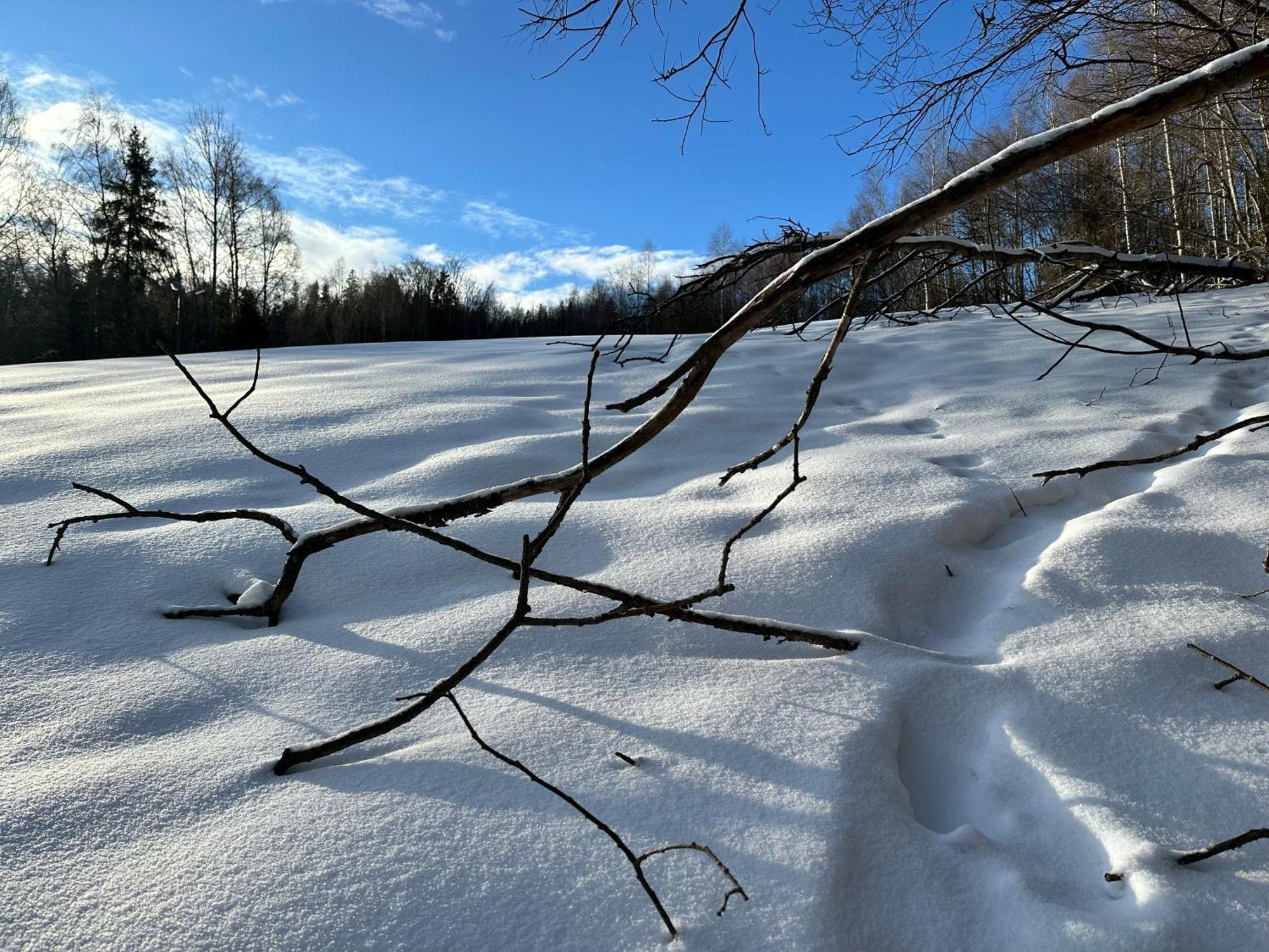 Domki Piwniczna Lodge *