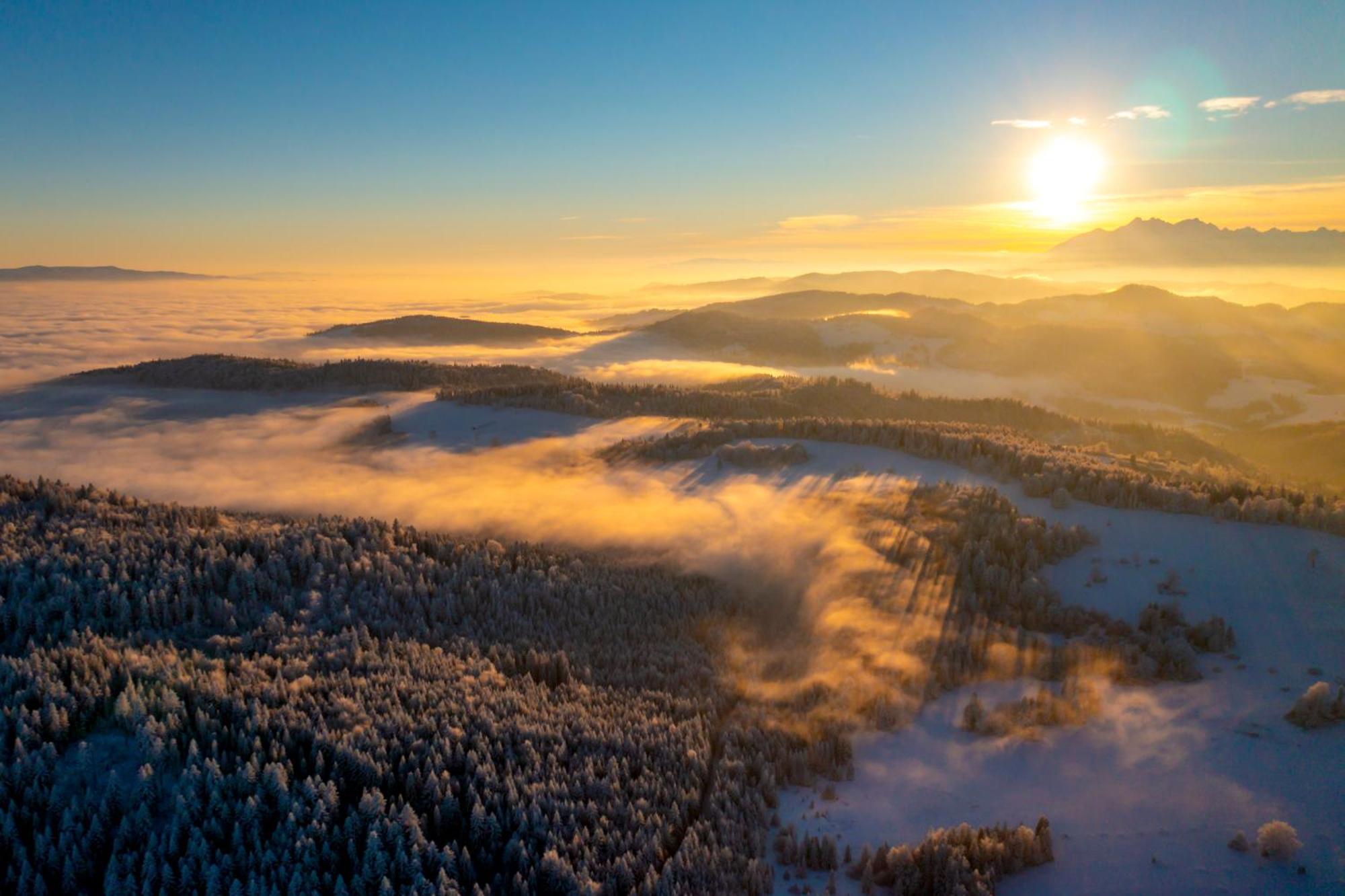 Lodge Domki Piwniczna Piwniczna-Zdroj